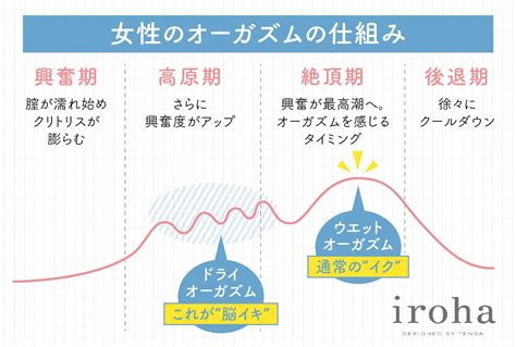 セックス イク 感覚|オーガズムとは？ 達する仕組みとイクための練習方法【医師が。